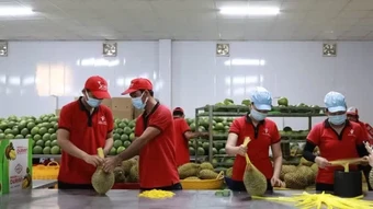 Giữ đà tăng trưởng xuất khẩu, hướng tới phát triển bền vững
