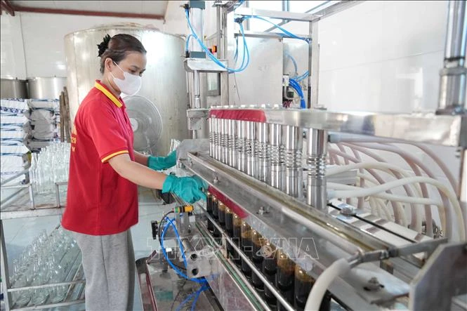 Giữ hồn nước mắm truyền thống Hà Tĩnh bằng chuẩn OCOP 5 sao Giữ hồn nước mắm truyền thống Hà Tĩnh bằng chuẩn OCOP 5 sao