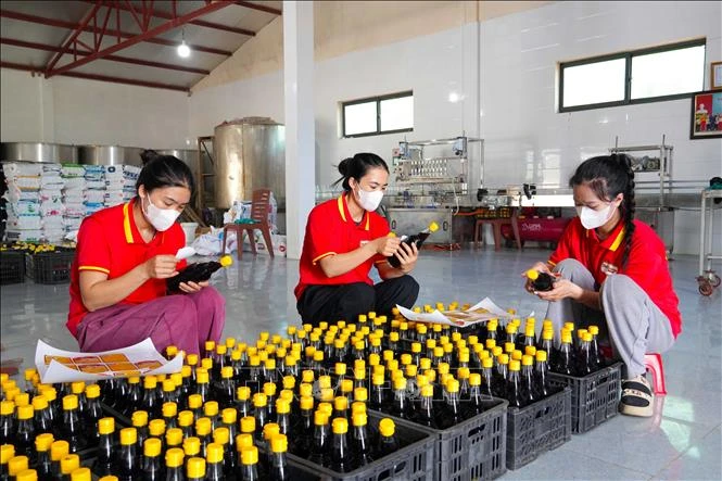 Giữ hồn nước mắm truyền thống Hà Tĩnh bằng chuẩn OCOP 5 sao Giữ hồn nước mắm truyền thống Hà Tĩnh bằng chuẩn OCOP 5 sao