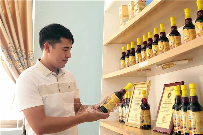 Giữ hồn nước mắm truyền thống Hà Tĩnh bằng chuẩn OCOP 5 sao Giữ hồn nước mắm truyền thống Hà Tĩnh bằng chuẩn OCOP 5 sao