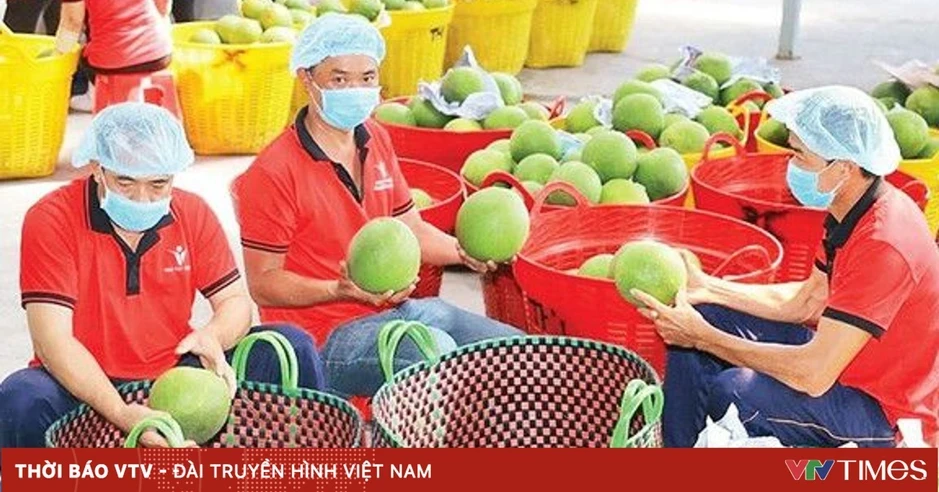 Giữ nhịp xuất khẩu - thực hiện mục tiêu tăng trưởng 2 con số Giữ nhịp xuất khẩu - thực hiện mục tiêu tăng trưởng 2 con số