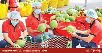 Giữ nhịp xuất khẩu - thực hiện mục tiêu tăng trưởng 2 con số
