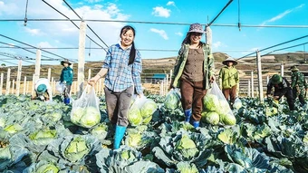 Gỡ điểm nghẽn để hợp tác xã tăng tốc