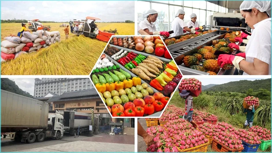 Gỡ điểm nghẽn để tăng xuất khẩu nông sản Gỡ điểm nghẽn để tăng xuất khẩu nông sản