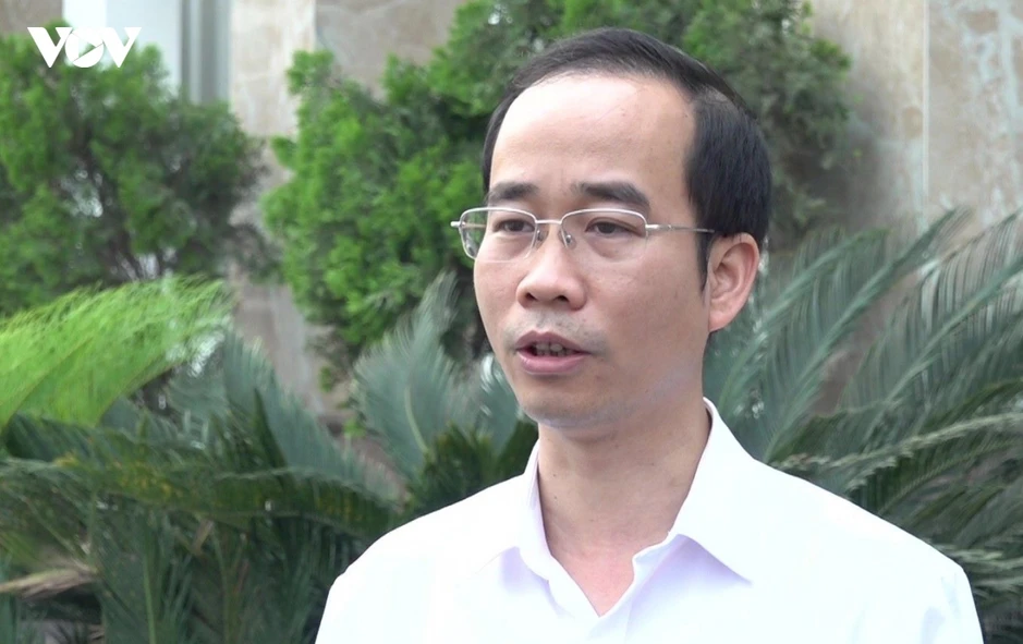 Gỗ rừng trồng ở Lào Cai “mắc kẹt” vì thiếu hồ sơ pháp lý Gỗ rừng trồng ở Lào Cai “mắc kẹt” vì thiếu hồ sơ pháp lý