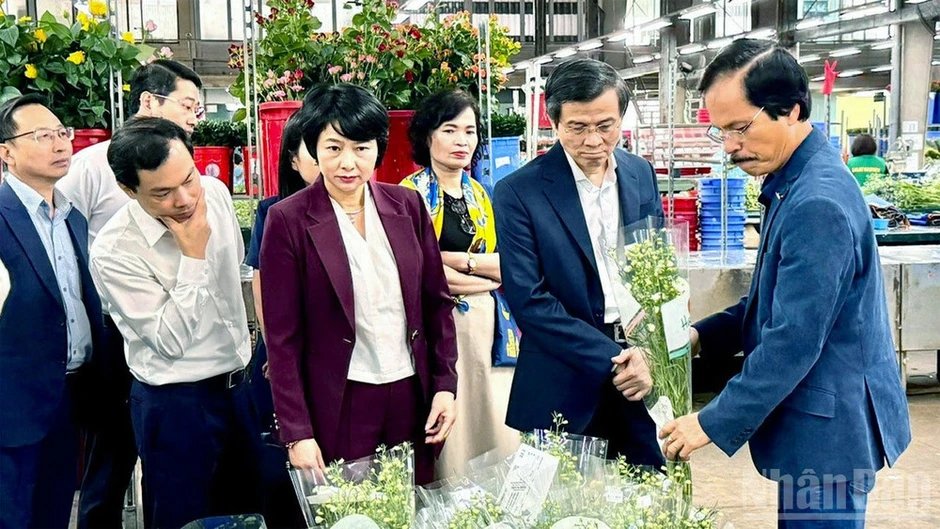 Gợi mở cơ chế, chính sách đặc thù tạo động lực bứt phá cho Lâm Đồng Gợi mở cơ chế, chính sách đặc thù tạo động lực bứt phá cho Lâm Đồng