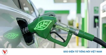 Hà Nội kiểm tra, giám sát chất lượng pha chế và kinh doanh xăng sinh học E10