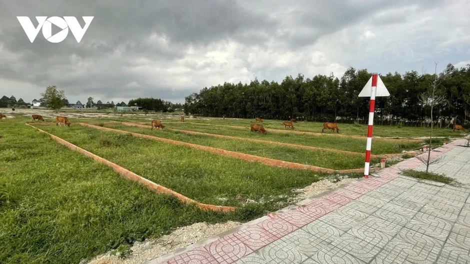 Hà Nội sắp đấu giá 306 dự án, khu đất, dự kiến thu hơn 63.000 tỷ đồng Hà Nội sắp đấu giá 306 dự án, khu đất, dự kiến thu hơn 63.000 tỷ đồng