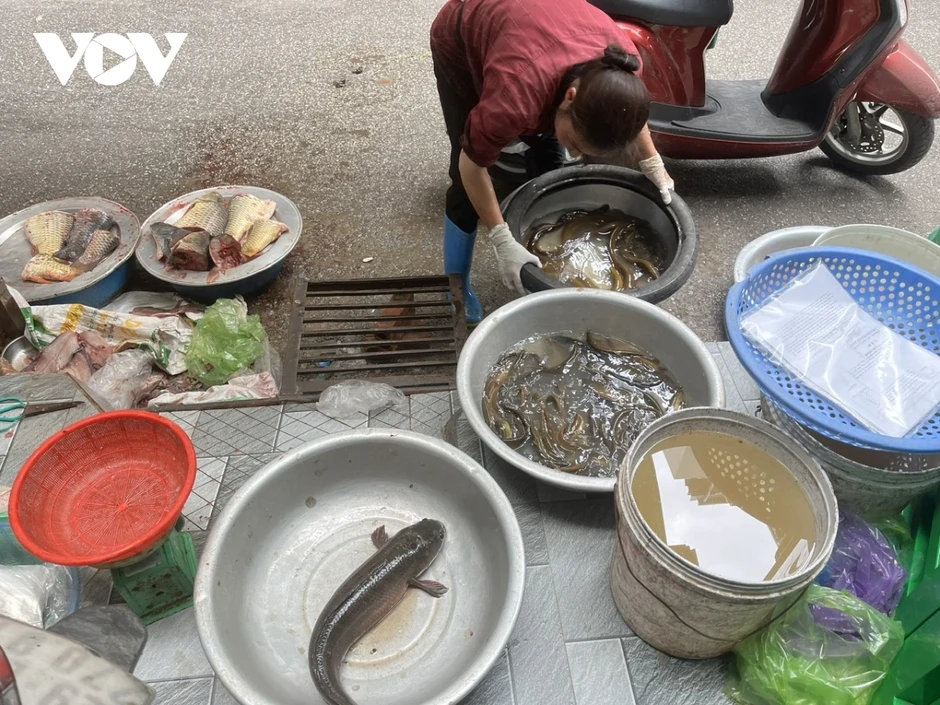 Hà Nội siết chặt vỉa hè, tiểu thương tìm cách xoay xở khi không gian bị thu hẹp Hà Nội siết chặt vỉa hè, tiểu thương tìm cách xoay xở khi không gian bị thu hẹp