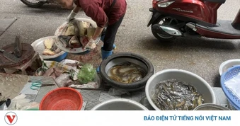 Hà Nội siết chặt vỉa hè, tiểu thương tìm cách xoay xở khi không gian bị thu hẹp