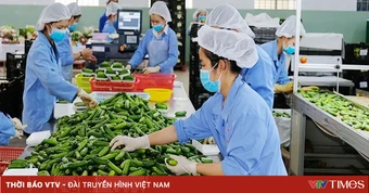 Hà Nội tháo gỡ khó khăn cho hoạt động xuất khẩu