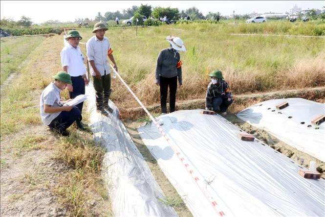 Hải Phòng: Cưỡng chế, thu hồi gần 3.000 m2 đất để xây dựng khu dân cư mới Hải Phòng: Cưỡng chế, thu hồi gần 3.000 m2 đất để xây dựng khu dân cư mới