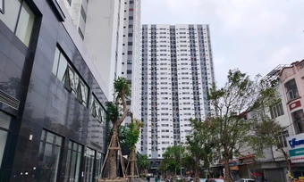 Hải Phòng dự kiến nâng ngưỡng thu nhập được mua nhà xã hội - Báo TinVina