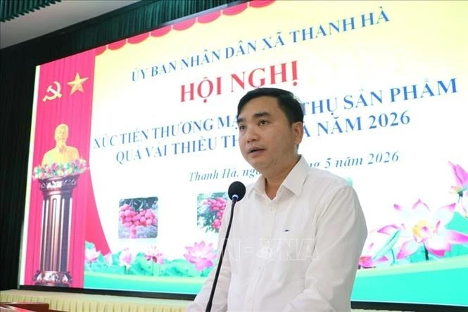Hải Phòng xúc tiến thương mại tiêu thụ vải thiều năm 2026 Hải Phòng xúc tiến thương mại tiêu thụ vải thiều năm 2026