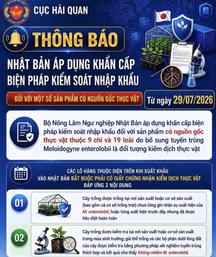 Hải quan cảnh báo quy định mới của Nhật Bản đối với hàng nông sản xuất khẩu