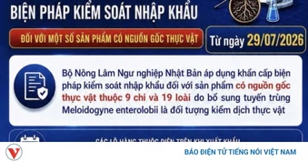 Hải quan cảnh báo quy định mới của Nhật Bản đối với hàng nông sản xuất khẩu