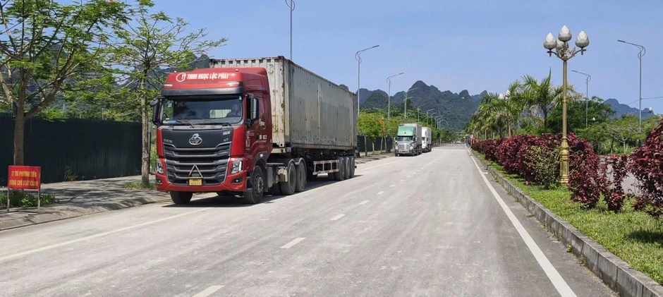 Hải quan ‘giữ mạch’ thông quan hàng hóa xuyên lễ Hải quan ‘giữ mạch’ thông quan hàng hóa xuyên lễ