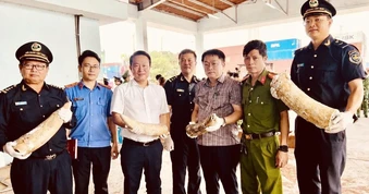Hải quan phát hiện hơn 1,2 tấn ngà voi, xương động vật vận chuyển từ châu Phi
