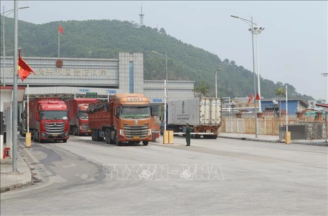 Hải quan thông tin ‘không bắt buộc khai báo 100% thành phần hóa chất khi nhập khẩu’ Hải quan thông tin ‘không bắt buộc khai báo 100% thành phần hóa chất khi nhập khẩu’