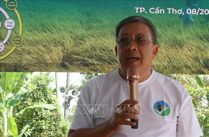 Hai trụ cột để Cần Thơ đạt 170 nghìn ha lúa phát thải thấp - Bài 2: Chìa khóa để nhân rộng Hai trụ cột để Cần Thơ đạt 170 nghìn ha lúa phát thải thấp - Bài 2: Chìa khóa để nhân rộng