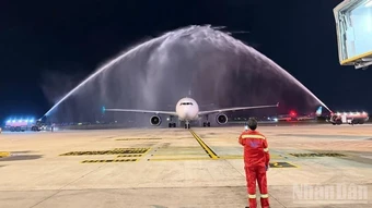 Hãng bay Hàn Quốc Parata Air mở đường bay thường lệ đến Hà Nội