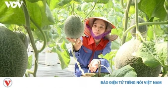 Hàng loạt ưu đãi cho dự án trong khu nông nghiệp ứng dụng công nghệ cao