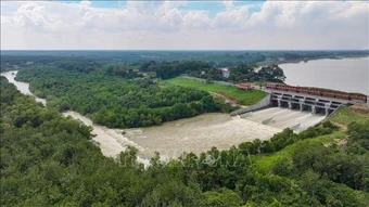 Hành lang thoát lũ hồ Dầu Tiếng bị 'bóp nghẹt'