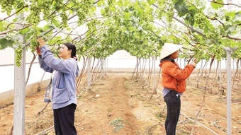 Hành trình của sự chuyển mình