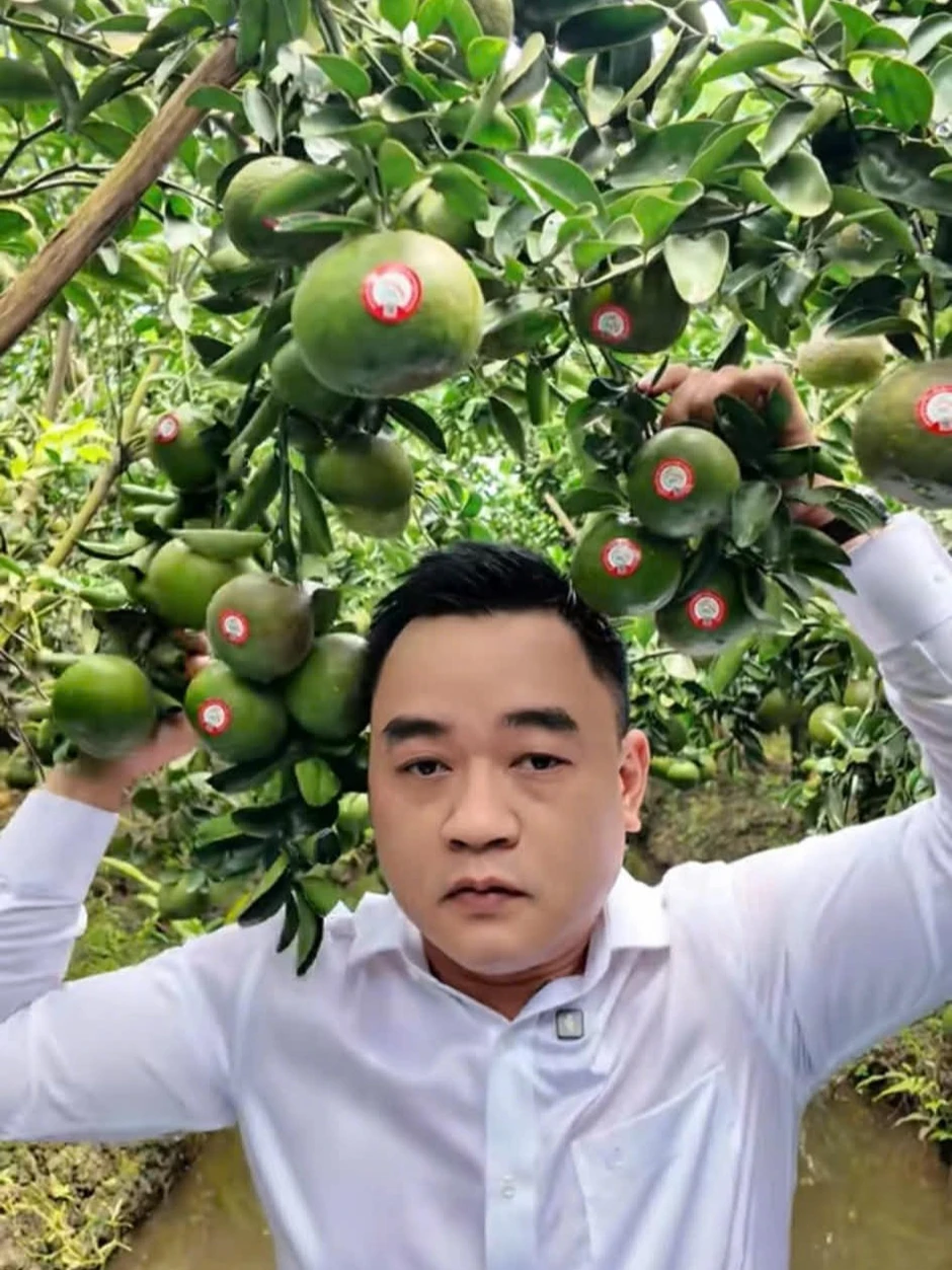 Hành trình từ trái xoài keo đến quả cam sành: A&D Hoàng Long nâng tầm giá trị trái cây Việt Hành trình từ trái xoài keo đến quả cam sành: A&D Hoàng Long nâng tầm giá trị trái cây Việt