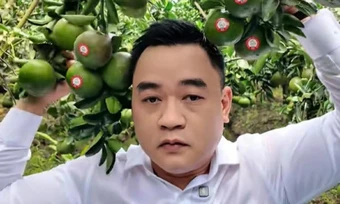 Hành trình từ trái xoài keo đến quả cam sành: A&D Hoàng Long nâng tầm giá trị trái cây Việt