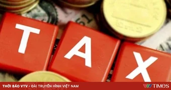Hành vi nào được xác định là hành vi trốn thuế?
