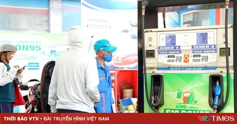Hầu hết xe xăng tương thích E10, mở rộng dư địa nhiên liệu sinh học