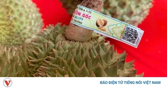 Hệ thống truy xuất nguồn gốc nông, lâm, thủy sản sẽ vận hành từ 1/7
