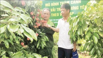 Hiệu quả của mô hình khuyến nông