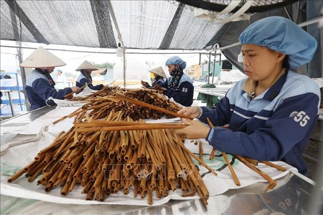 Hiệu quả thực thi 6 năm Hiệp định thương mại tự do Việt Nam - EU Hiệu quả thực thi 6 năm Hiệp định thương mại tự do Việt Nam - EU