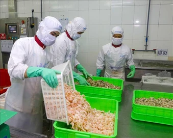 Hiệu quả thực thi 6 năm Hiệp định thương mại tự do Việt Nam - EU