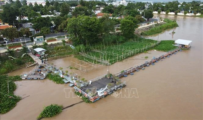 Hiệu quả từ các tổ cộng đồng bảo vệ nguồn lợi thủy sản Hiệu quả từ các tổ cộng đồng bảo vệ nguồn lợi thủy sản