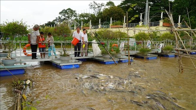 Hiệu quả từ các tổ cộng đồng bảo vệ nguồn lợi thủy sản Hiệu quả từ các tổ cộng đồng bảo vệ nguồn lợi thủy sản