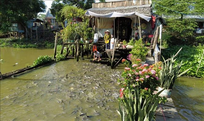 Hiệu quả từ các tổ cộng đồng bảo vệ nguồn lợi thủy sản Hiệu quả từ các tổ cộng đồng bảo vệ nguồn lợi thủy sản