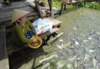 Hiệu quả từ các tổ cộng đồng bảo vệ nguồn lợi thủy sản&nbsp;