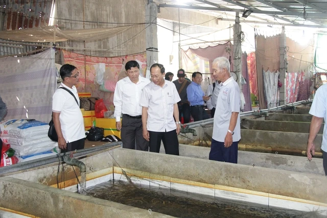 Hình ảnh hàng chục ngàn con lươn quá lứa, chưa được tiêu thụ ở Cần Thơ Hình ảnh hàng chục ngàn con lươn quá lứa, chưa được tiêu thụ ở Cần Thơ