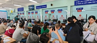 Hỗ trợ học nghề: Mở lối việc làm bền vững cho người thất nghiệp