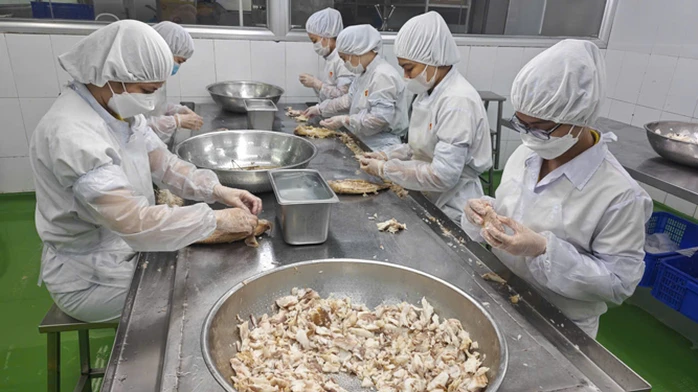 Hỗ trợ vốn cho doanh nghiệp TP HCM và cơ hội đầu tư hiệu quả Hỗ trợ vốn cho doanh nghiệp TP HCM và cơ hội đầu tư hiệu quả