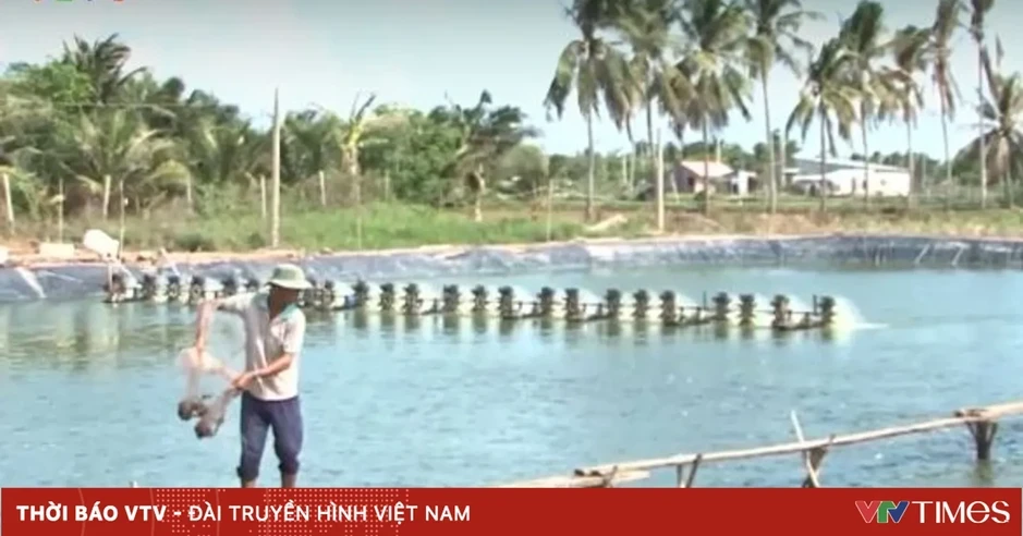 Hoa Kỳ tài trợ phát triển chuỗi cá rô phi Việt Nam Hoa Kỳ tài trợ phát triển chuỗi cá rô phi Việt Nam