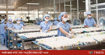 Hoàn thiện cơ chế quản lý để hỗ trợ doanh nghiệp phát triển lành mạnh