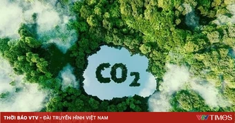 Hoàn thiện mô hình sàn giao dịch carbon