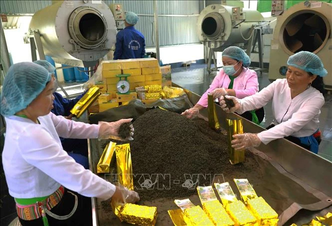 Hoàn thiện thể chế tạo động lực mới cho kinh tế tư nhân