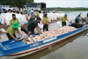 Hơn 100 tấn cá chết trên hồ Trị An