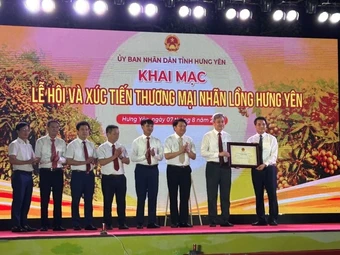 Hưng Yên tổ chức lễ hội và xúc tiến thương mại nhãn lồng Hưng Yên 2026