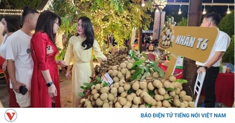 Hưng Yên tổ chức Lễ hội và xúc tiến thương mại nhãn lồng năm 2026